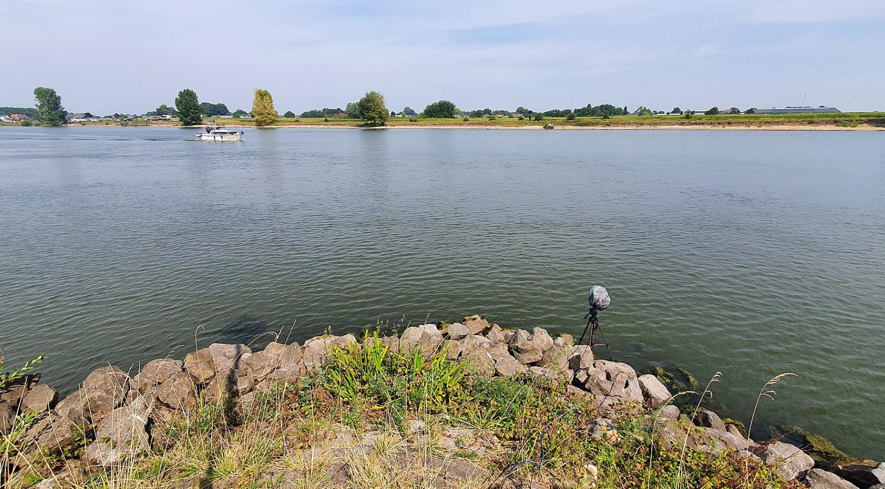 Waterstanden in Nederlandse rivieren uitzonderlijk laag voor deze tijd van het jaar