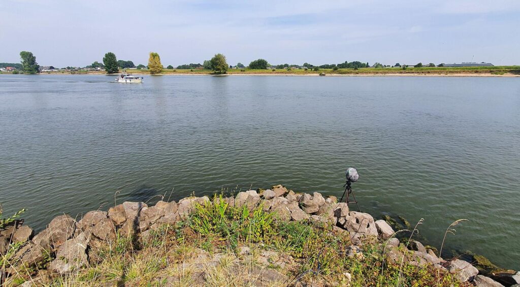 Watertekort verklaard in Nederland; regering overweegt maatregelen