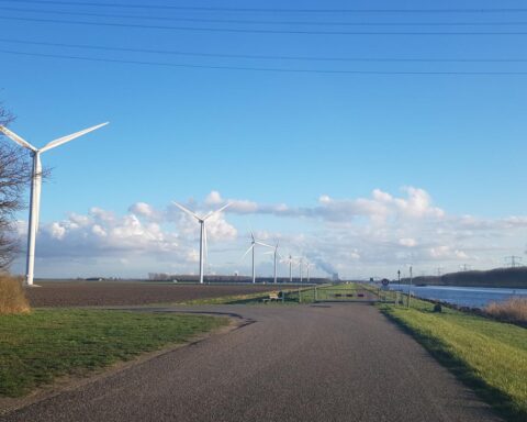 Zeeland sluit 20 windturbines overdag na de dood van jonge zeearend