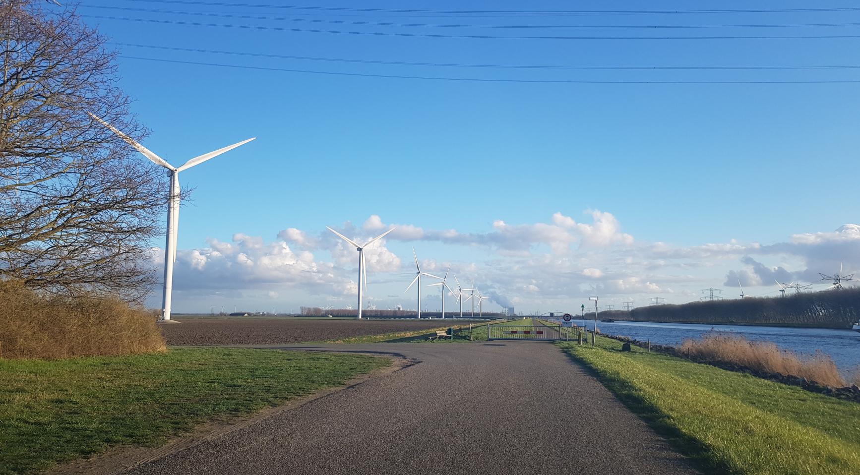 Zeeland sluit 20 windturbines overdag na de dood van jonge zeearend