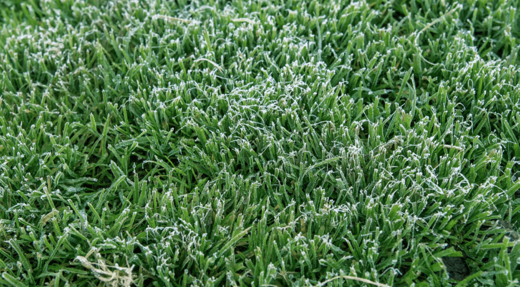Zomergrondvorst gemeten in Twente, voor het eerst in deze periode