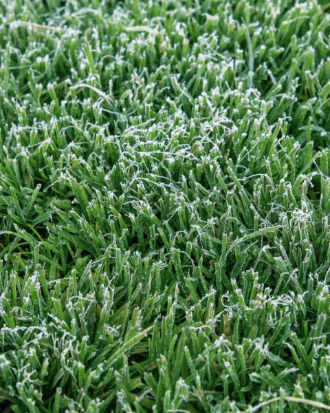 Zomergrondvorst gemeten in Twente, voor het eerst in deze periode