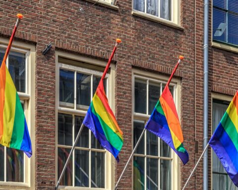 1 op de 8 Nederlanders die politieke posters of vlaggen hangen, krijgt negatieve reacties: enquête