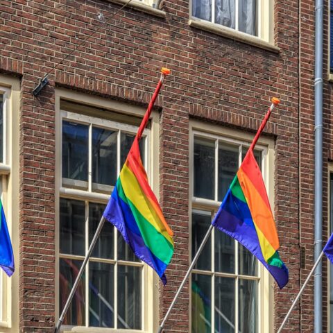 1 op de 8 Nederlanders die politieke posters of vlaggen hangen, krijgt negatieve reacties: enquête
