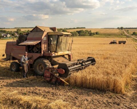 Russische landbouwsector ziet aandeel winstgevende bedrijven dalen naar 71,5 procent