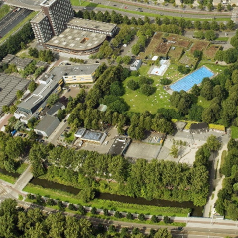 Amsterdam krijgt zes maanden om plannen voor woningbouw in Mercatorpark te herzien