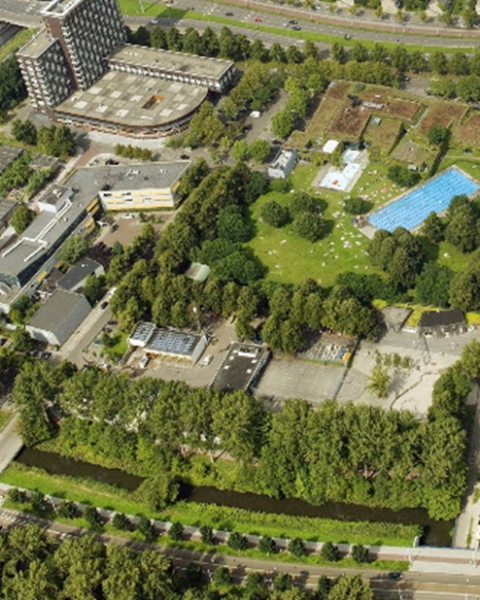 Amsterdam krijgt zes maanden om plannen voor woningbouw in Mercatorpark te herzien