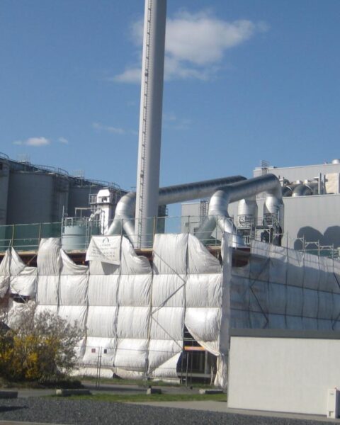 Amsterdamse studenten dagen Duitse energiegigant uit over claims van klimaatneutrale biobrandstof
