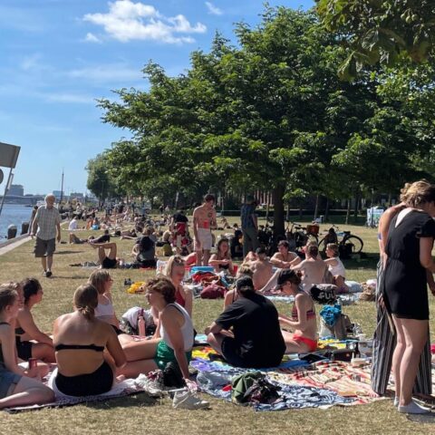 Barbecues populair bij een derde van de Nederlanders, vooral onder jonge volwassenen