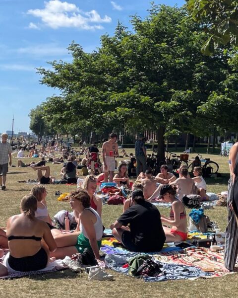 Barbecues populair bij een derde van de Nederlanders, vooral onder jonge volwassenen