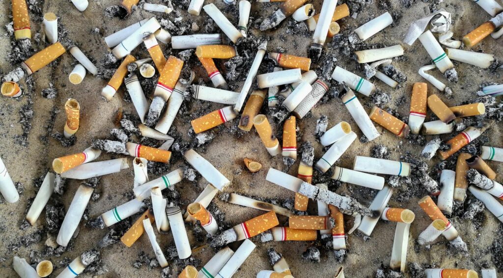 Bijna 80.000 sigarettenpeuken gevonden tijdens schoonmaakactie Noordzeekust, meer dan de helft is van vorig jaar