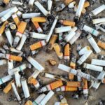 Bijna 80.000 sigarettenpeuken gevonden tijdens schoonmaakactie Noordzeekust, meer dan de helft is van vorig jaar
