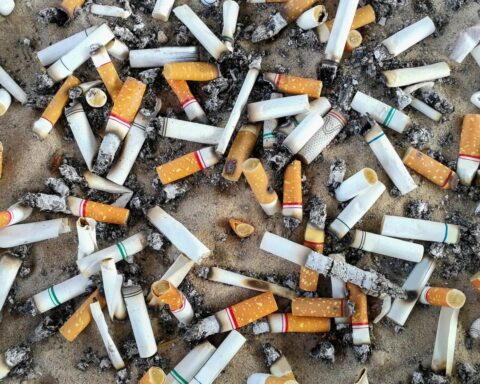 Bijna 80.000 sigarettenpeuken gevonden tijdens schoonmaakactie Noordzeekust, meer dan de helft is van vorig jaar