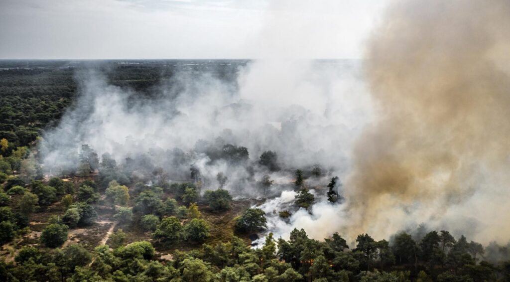 Bosbrand in Limburg groeit snel en zal lang nodig hebben om te doven