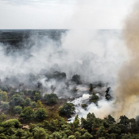 Bosbrand in Limburg groeit snel en zal lang nodig hebben om te doven