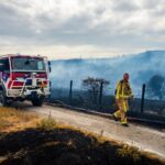 Bosbrand nabij Wassenaar leidt tot hotel evacuatie en NL-Alert