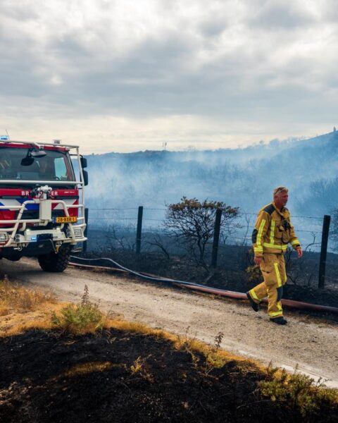 Bosbrand nabij Wassenaar leidt tot hotel evacuatie en NL-Alert