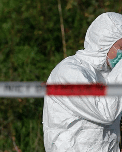 Bottenresten gevonden in zoektocht naar vermiste Marc Jaskulski zijn niet van hem