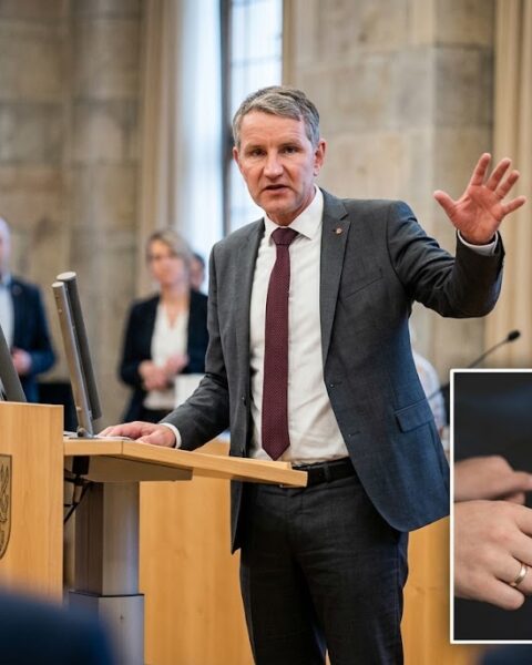 Höcke wil drie aangeklaagde Saksische separatisten terug in AfD; Frankrijk herziet socialemediaplan