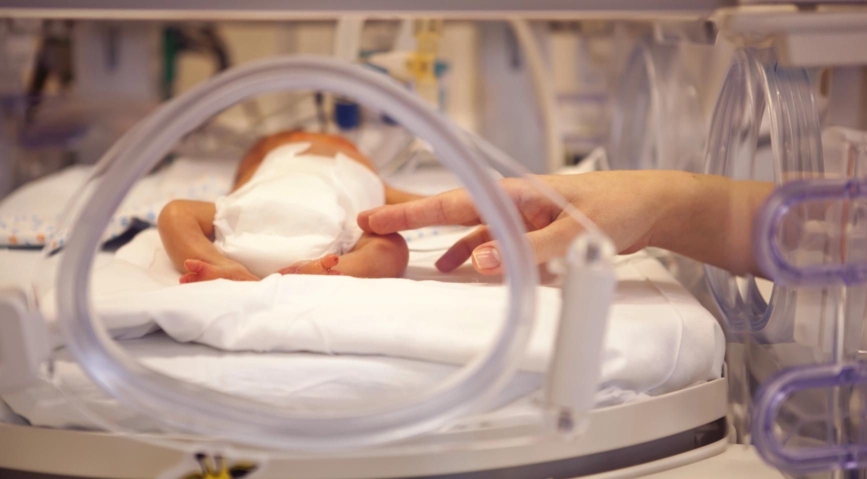 Erasmus MC start DNA-test om antibioticumdoofheid bij premature baby's te voorkomen