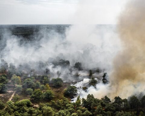 Groot, snel verspreidend natuurbrand in Limburg vergt langdurige blusactie