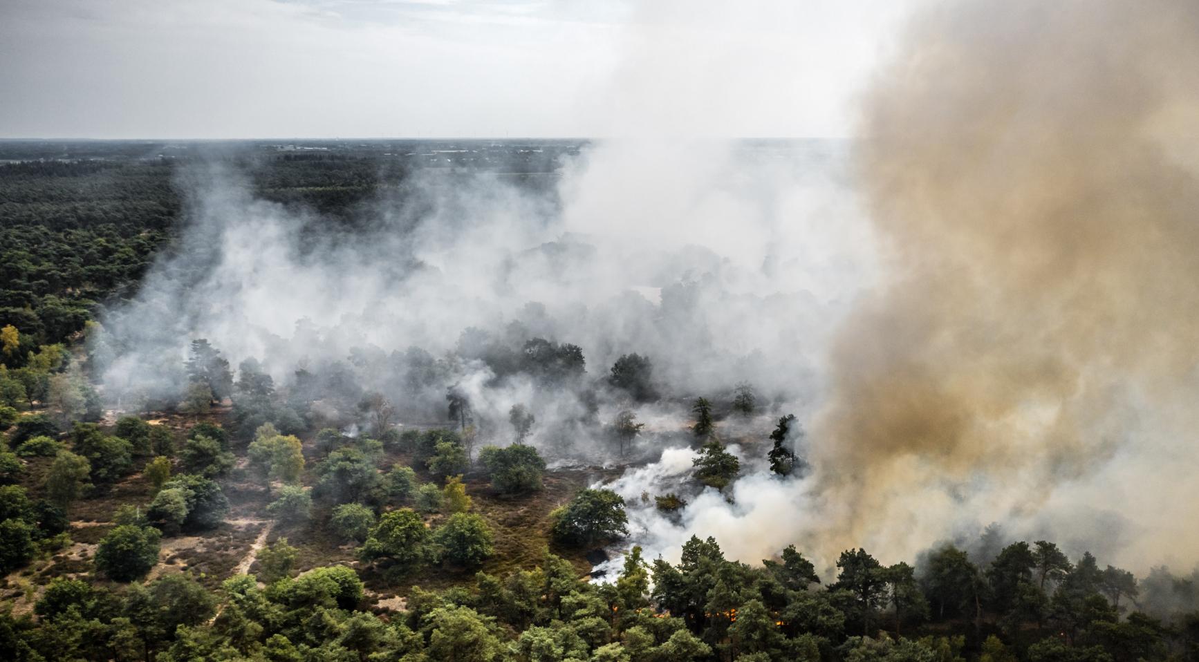 Groot, snel verspreidend natuurbrand in Limburg vergt langdurige blusactie