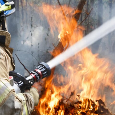 Grote brand woedt in Noord-Limburg; treinen tussen Nijmegen en Venray stilgelegd