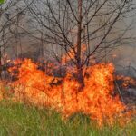 Grote natuurbrand uitgebroken nabij de Belgische grens in Noord-Brabant
