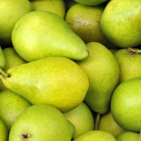 Kleinere, duurdere fruitverwachtingen in Nederland door droogte