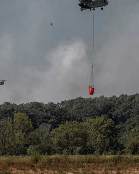 Natuurbrand in Limburg nog steeds woedend, brandbestrijding verloopt volgens plan