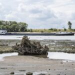 Nederland nog niet in nationale watercrisis ondanks aanhoudende droogte