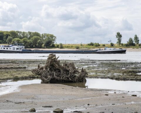 Nederland nog niet in nationale watercrisis ondanks aanhoudende droogte