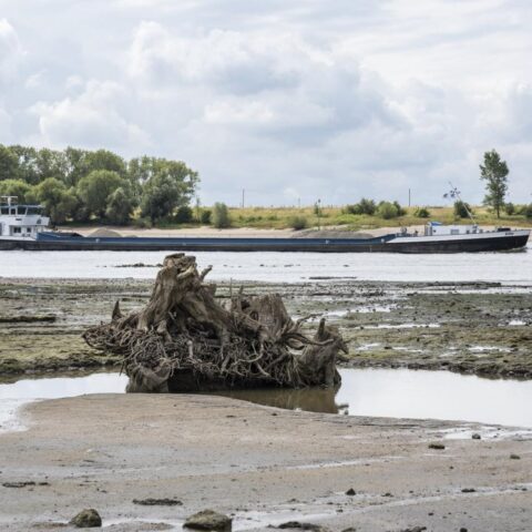 Nederland nog niet in nationale watercrisis ondanks aanhoudende droogte