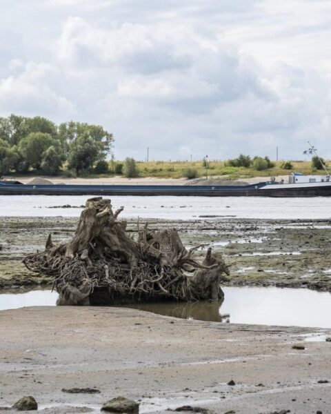 Nederland nog niet in nationale watercrisis ondanks aanhoudende droogte