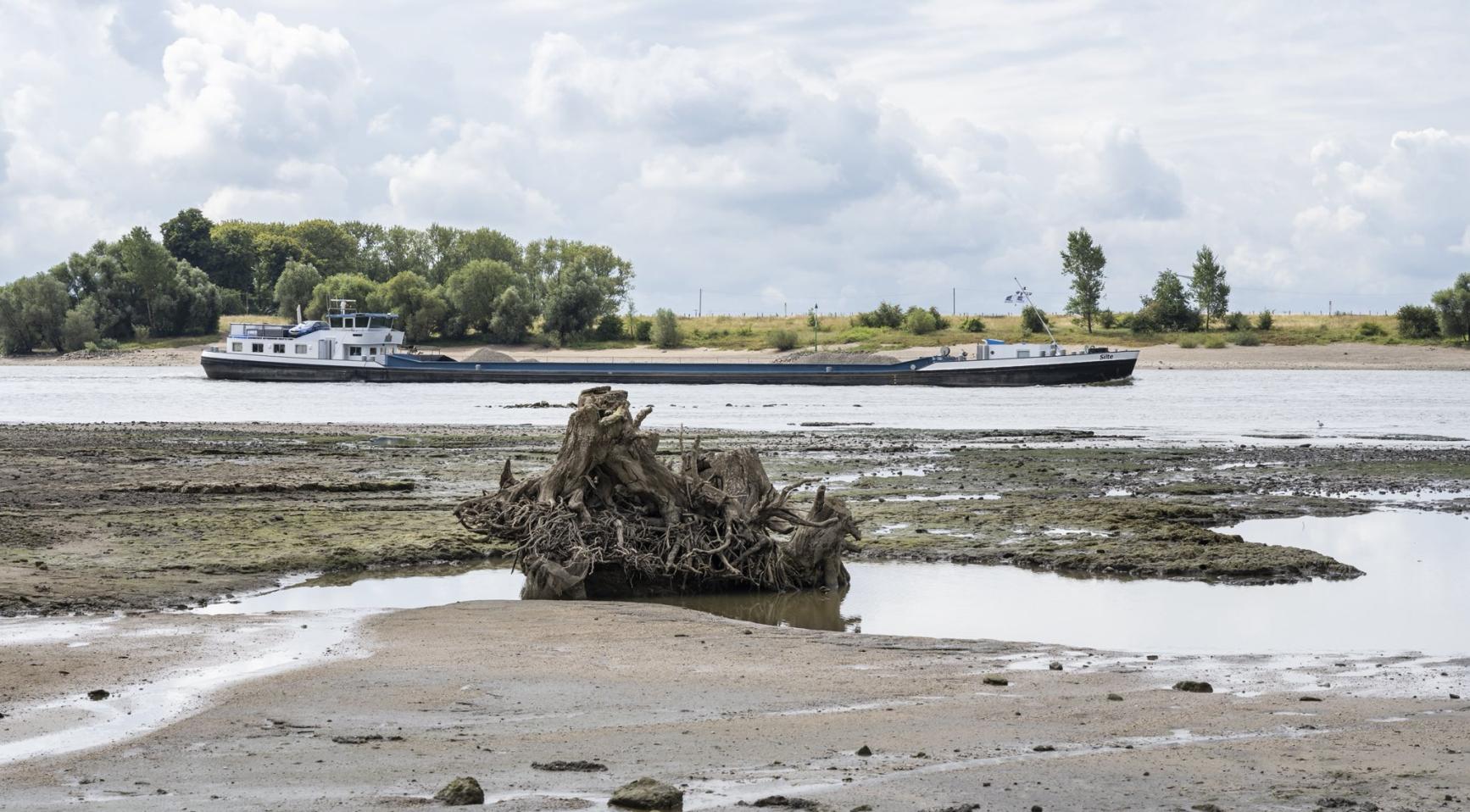 Nederland nog niet in nationale watercrisis ondanks aanhoudende droogte