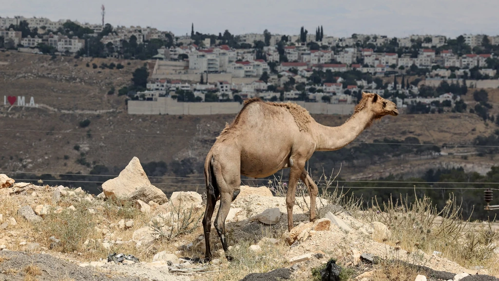 Nederland veroordeelt Israël om biedingen voor omstreden bouwproject op Westelijke Jordaanoever