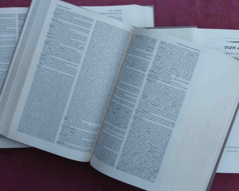 Nederlands woordenboek voegt anatomisch correct woord voor labia toe naast "schaamlippen"
