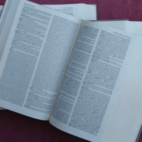 Nederlands woordenboek voegt anatomisch correct woord voor labia toe naast "schaamlippen"
