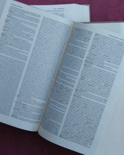 Nederlands woordenboek voegt anatomisch correct woord voor labia toe naast "schaamlippen"