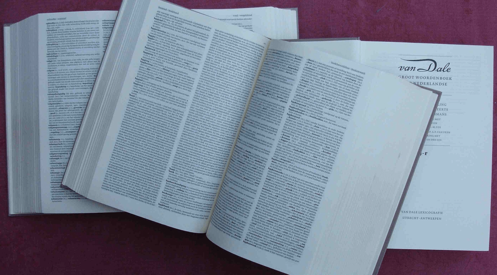 Nederlands woordenboek voegt anatomisch correct woord voor labia toe naast "schaamlippen"