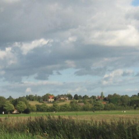 Noord-Brabantse moeras voor het eerst in 700 jaar volledig droog vanwege extreme droogte