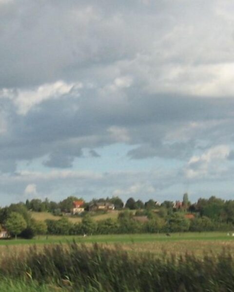 Noord-Brabantse moeras voor het eerst in 700 jaar volledig droog vanwege extreme droogte
