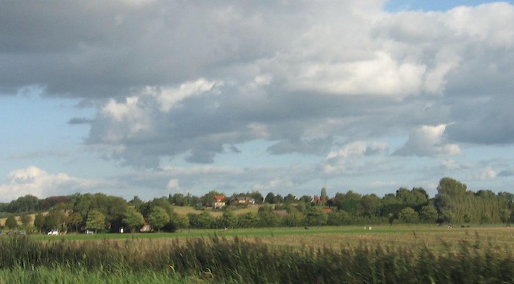 Noord-Brabantse moeras voor het eerst in 700 jaar volledig droog vanwege extreme droogte