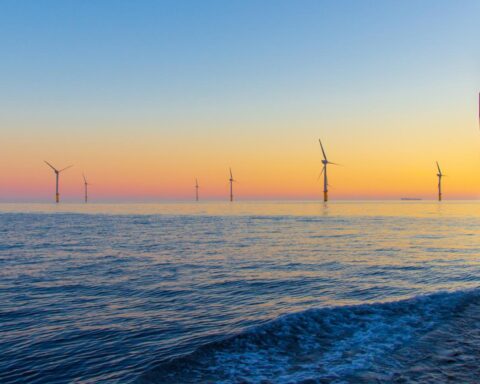 Noordzee bereikt hoogste temperatuur ooit gemeten in Nederlandse wateren