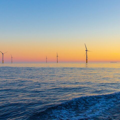 Noordzee bereikt hoogste temperatuur ooit gemeten in Nederlandse wateren