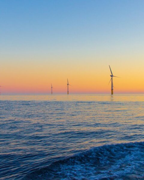 Noordzee bereikt hoogste temperatuur ooit gemeten in Nederlandse wateren