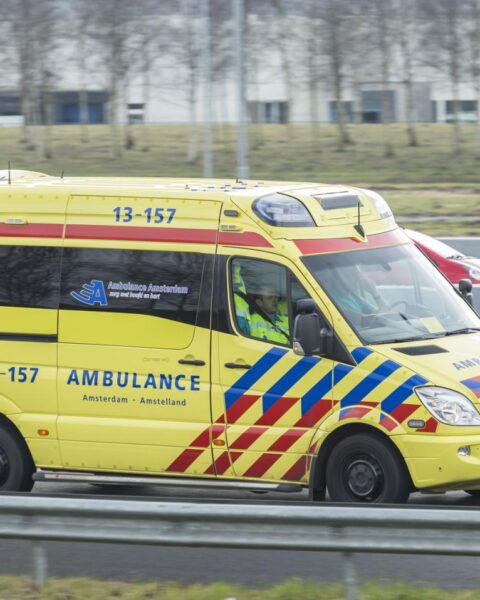 Paramedici behandelen 12 migranten aangetroffen in benauwde vrachtwagencontainer; bestuurder in hechtenis