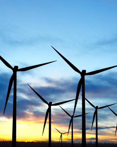 Regering vereist nu dat windturbines twee keer zo ver van woningen worden geplaatst als de hoogte van de bladen