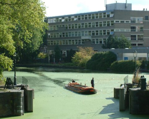 Sluisdeuren in de regio Den Haag-Rotterdam sluiten door aanhoudende droogte