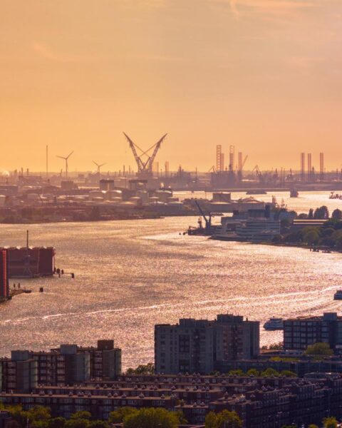 Staking van havenarbeiders kan reputatie van de haven van Rotterdam schaden bij grote bedrijven